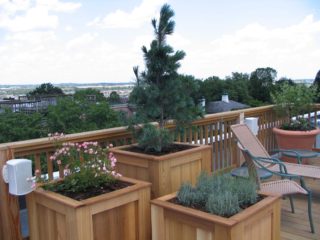 Roof Top Planters