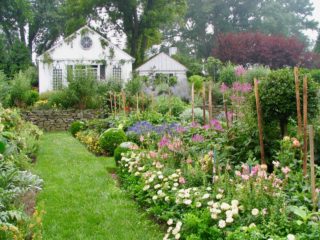 Cut flower garden, Baltimore MD